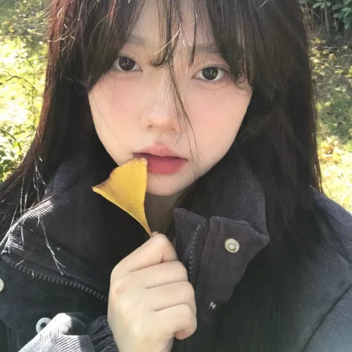 绝望写手第四季